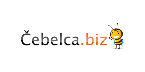 Webtim.si - Sinhronizacija ERP Sistems 1